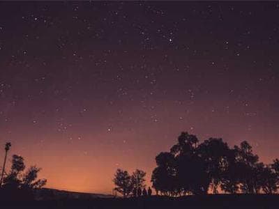 4-Months MERN Stack Course + 2-Months Internship